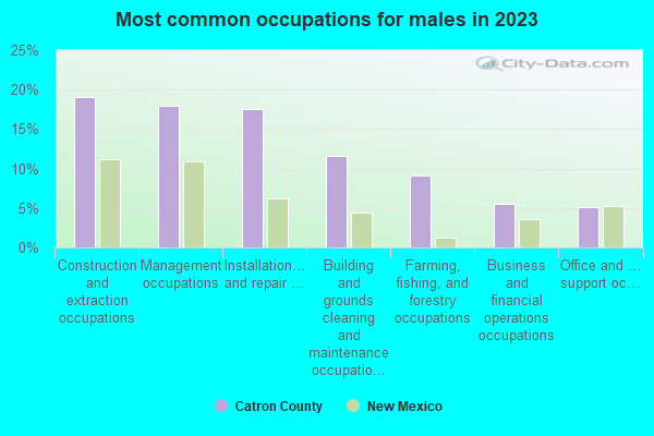 Most common occupations for males in 2022