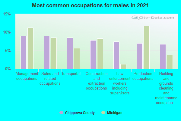 Most common occupations for males in 2022