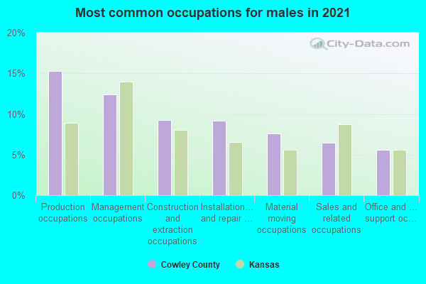 Most common occupations for males in 2022