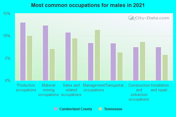 Most common occupations for males in 2022