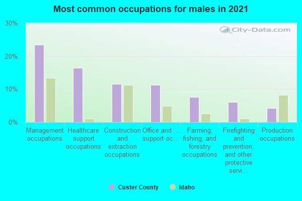 Most common occupations for males in 2022