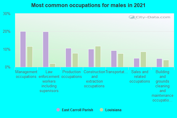 Most common occupations for males in 2022