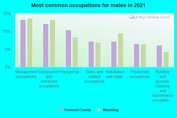 Most common occupations for males in 2022