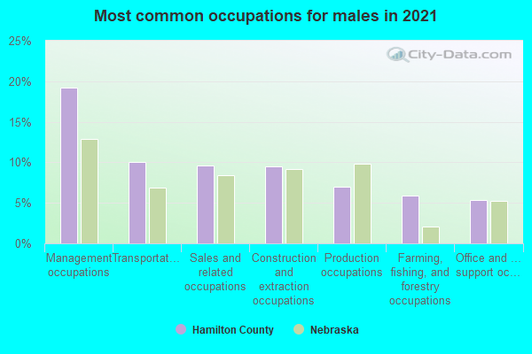 Most common occupations for males in 2022