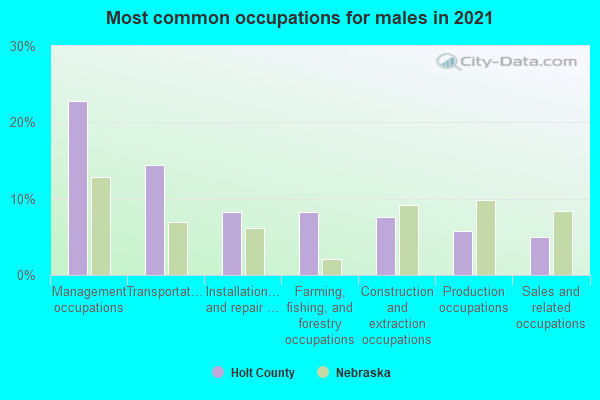 Most common occupations for males in 2022