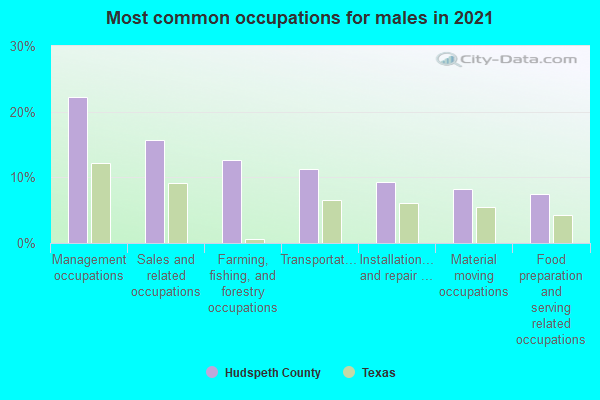 Most common occupations for males in 2022