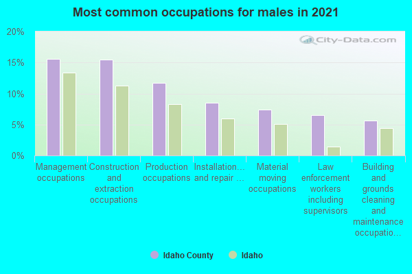 Most common occupations for males in 2022