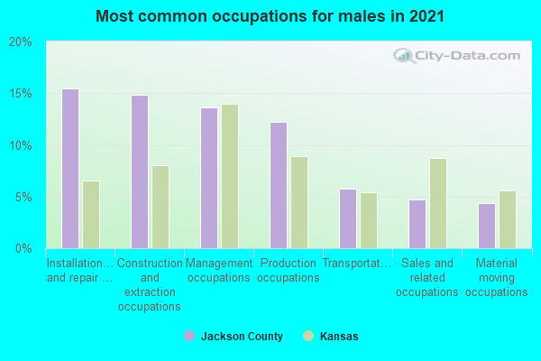 Most common occupations for males in 2022