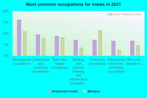 Most common occupations for males in 2022