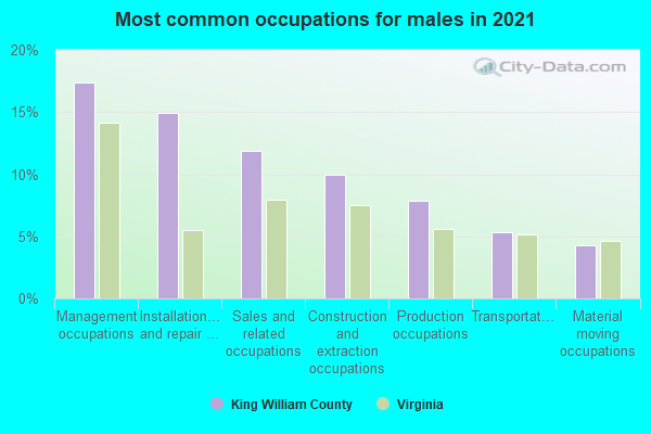 Most common occupations for males in 2022