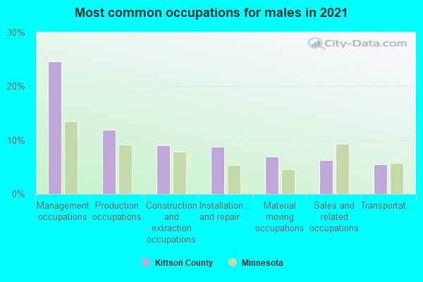 Most common occupations for males in 2022