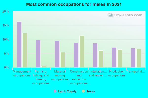 Most common occupations for males in 2022