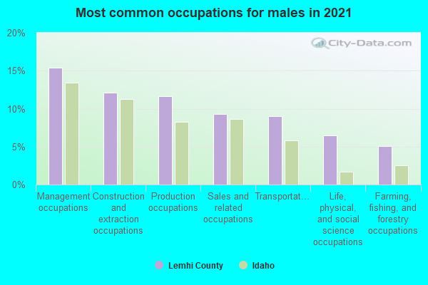 Most common occupations for males in 2022