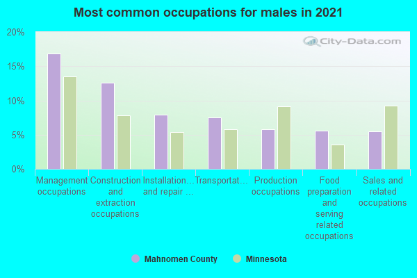 Most common occupations for males in 2022