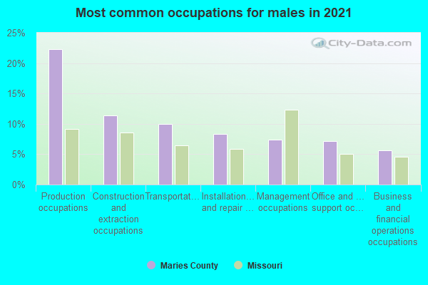 Most common occupations for males in 2022