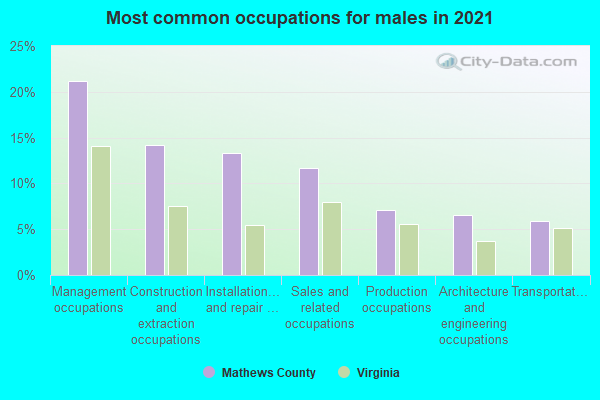 Most common occupations for males in 2022