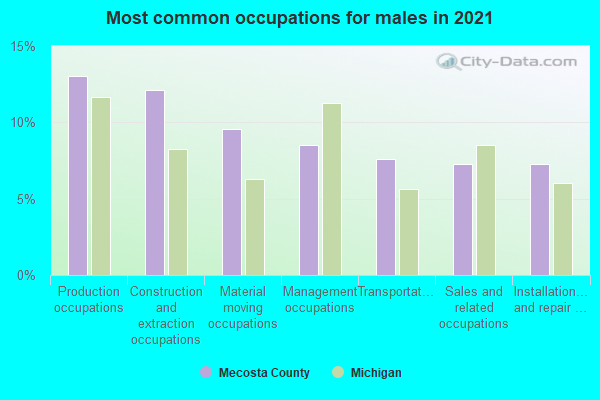 Most common occupations for males in 2022