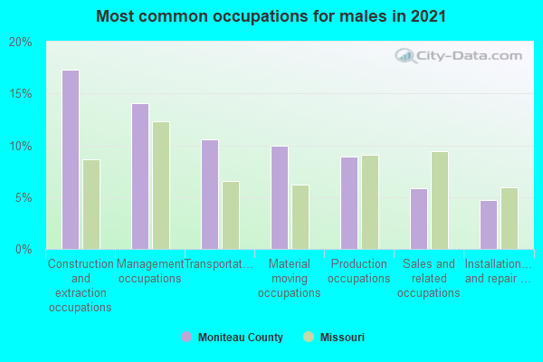 Most common occupations for males in 2022