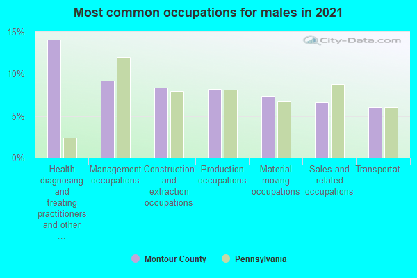 Most common occupations for males in 2022