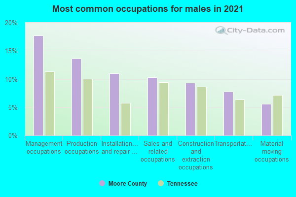 Most common occupations for males in 2022