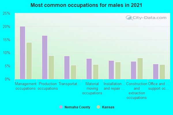 Most common occupations for males in 2022