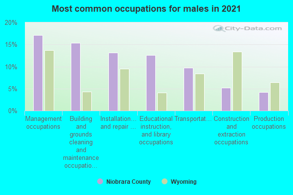 Most common occupations for males in 2022