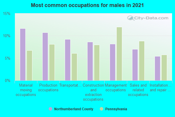 Most common occupations for males in 2022