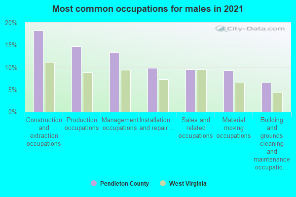 Most common occupations for males in 2022