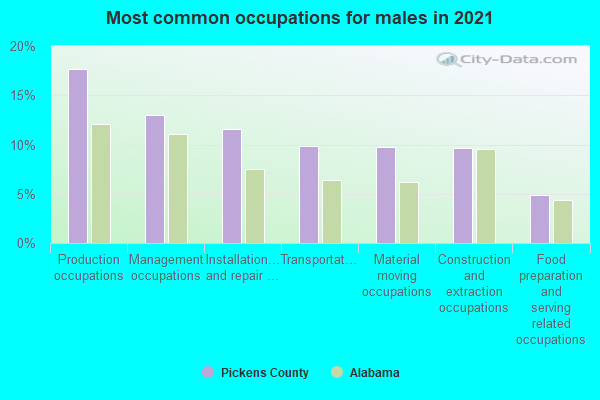 Most common occupations for males in 2022