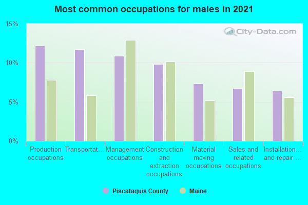 Most common occupations for males in 2022