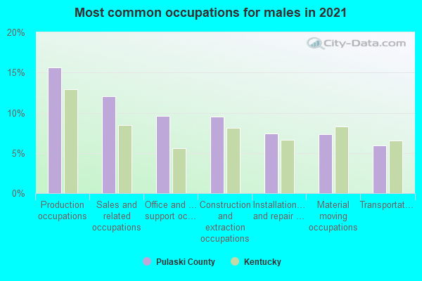 Most common occupations for males in 2022