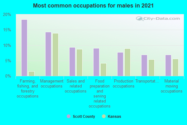 Most common occupations for males in 2022