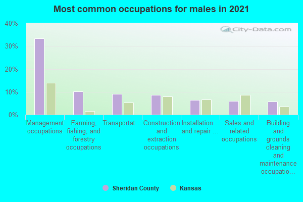 Most common occupations for males in 2022