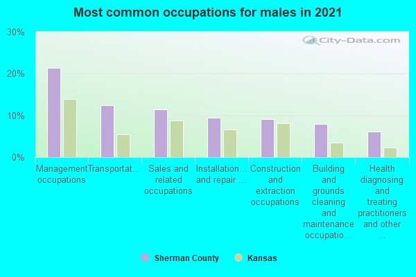 Most common occupations for males in 2022