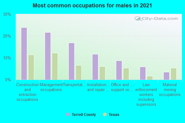 Most common occupations for males in 2022