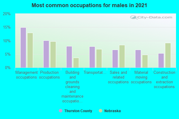 Most common occupations for males in 2022