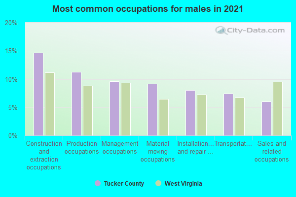 Most common occupations for males in 2022