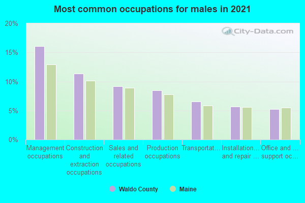 Most common occupations for males in 2022