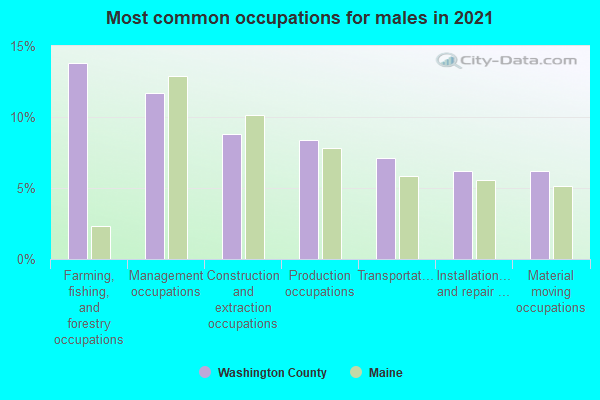 Most common occupations for males in 2022