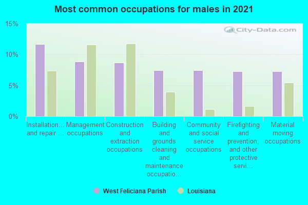 Most common occupations for males in 2022