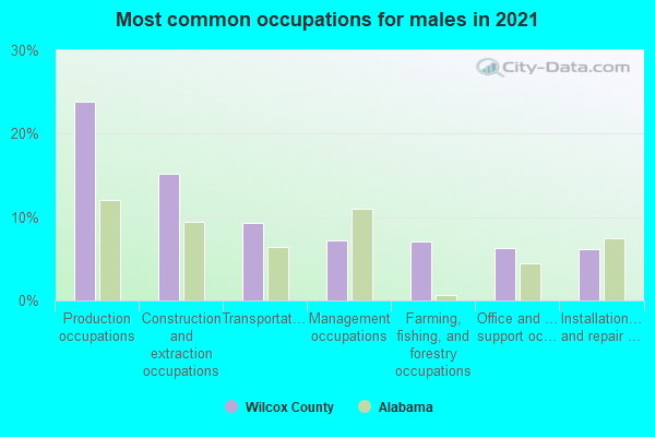 Most common occupations for males in 2022