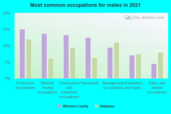 Most common occupations for males in 2022