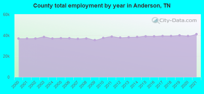 County total employment by year in Anderson, TN
