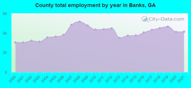 County total employment by year in Banks, GA