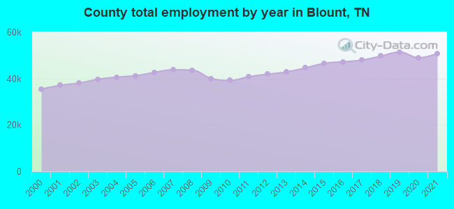 County total employment by year in Blount, TN