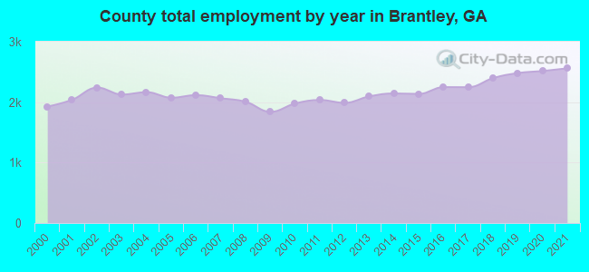 County total employment by year in Brantley, GA