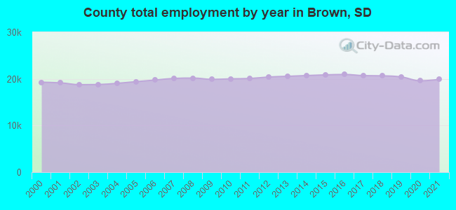 County total employment by year in Brown, SD