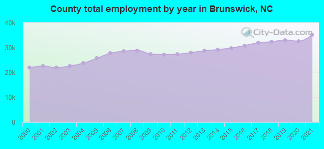County total employment by year in Brunswick, NC