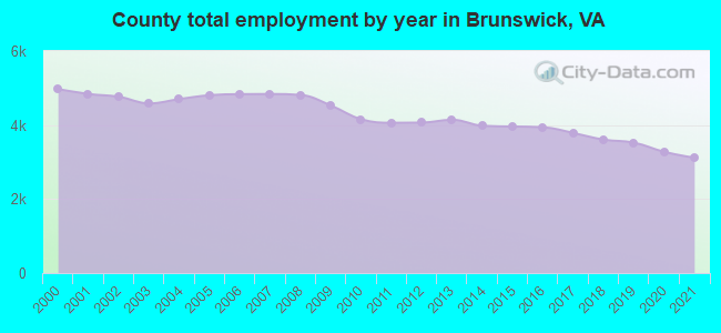 County total employment by year in Brunswick, VA
