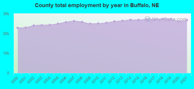 County total employment by year in Buffalo, NE